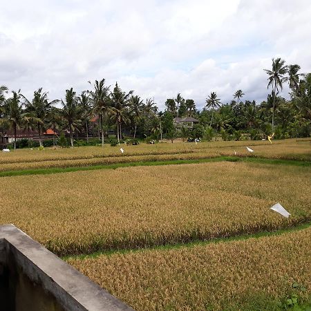 Umah Dangin Guest House Ubud Exteriör bild