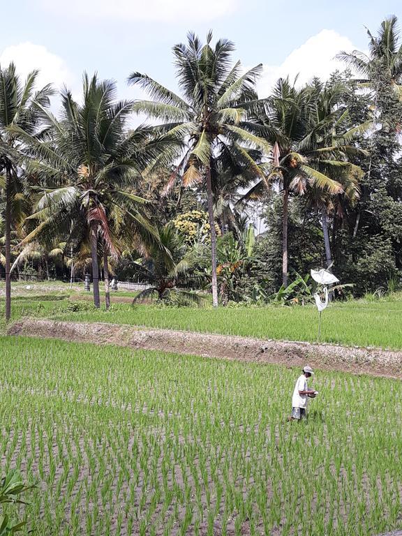 Umah Dangin Guest House Ubud Exteriör bild
