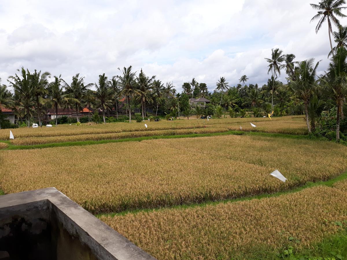 Umah Dangin Guest House Ubud Exteriör bild