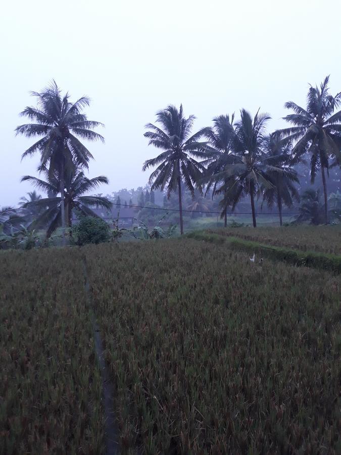 Umah Dangin Guest House Ubud Exteriör bild